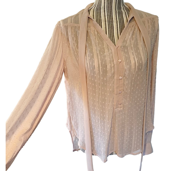 Kimchi Blue Tops - NWT KIMCHI BLUE for Urban Outfitters sheer Swiss dot top w side slits blush/pink